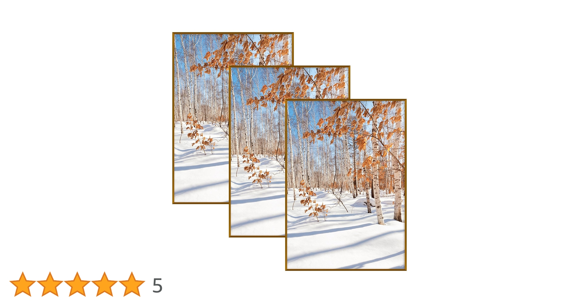 フォトフレーム ＊ ブロンズ Amazon.co.jp: Golden State Art、A1アルミニウム写真フレーム